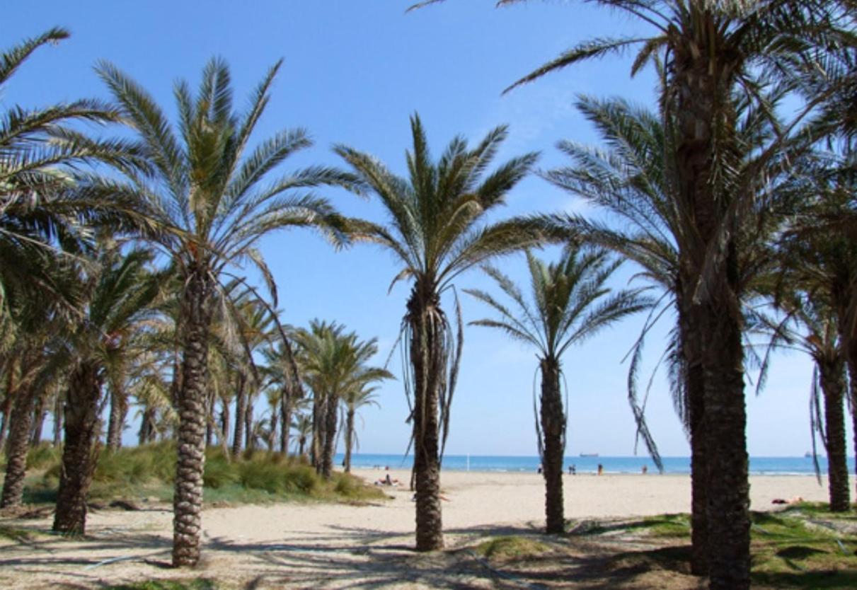 Nuevo En Calle Useras Castellon de la Plana Ngoại thất bức ảnh